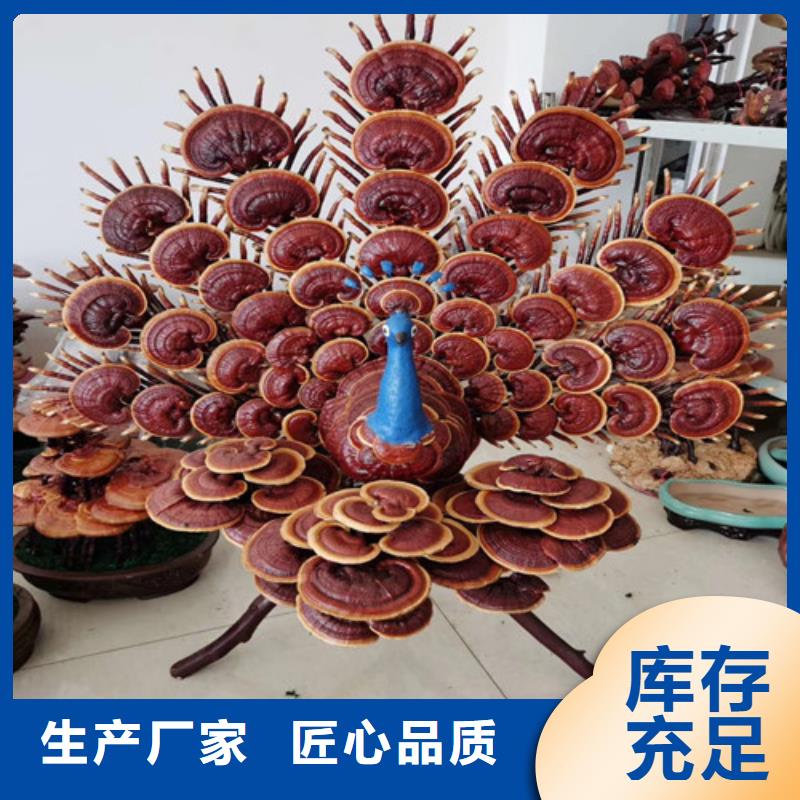 破壁灵芝孢子粉厂家实力商家