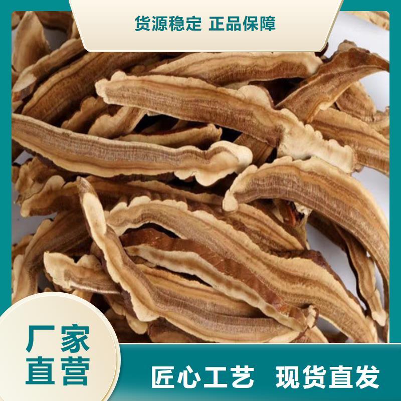 
灵芝孢子粉-高质量
灵芝孢子粉同城经销商