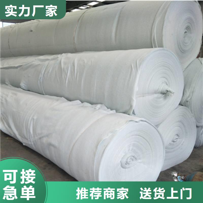 防渗土工布丙纶高强土工布无纺土工布厂家两布一膜量大更优惠