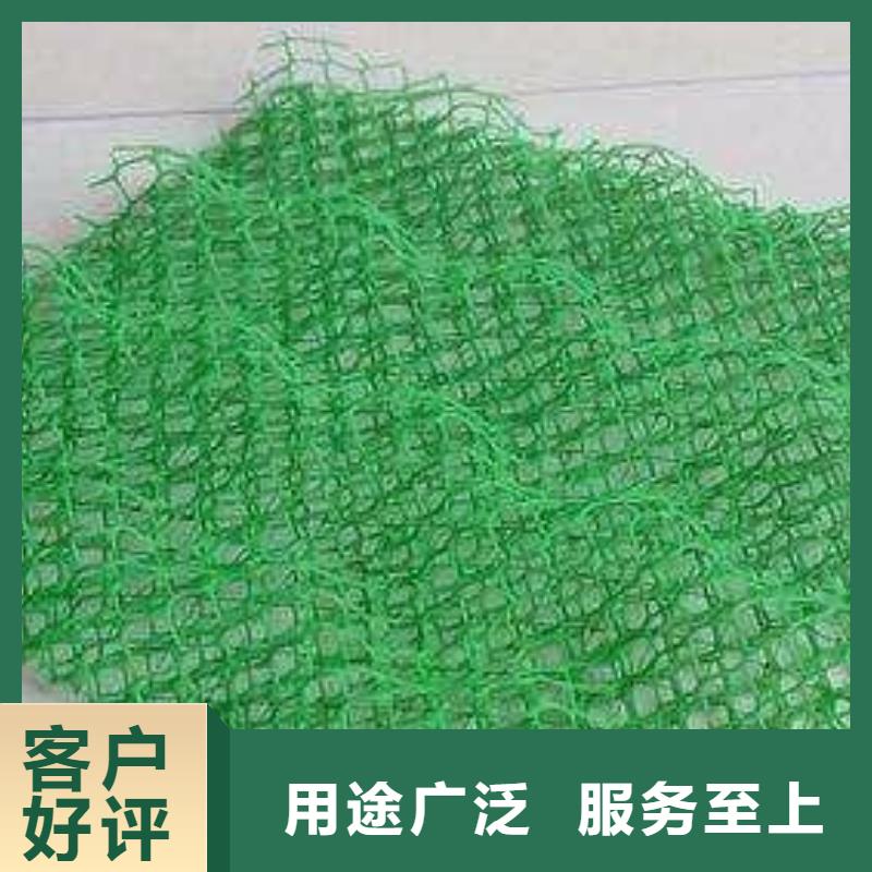 三维土工网垫EM2EM3三维植被网海量现货直销