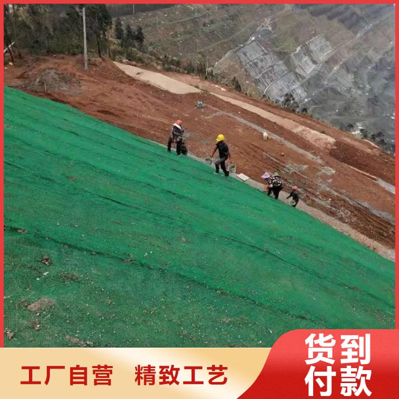 三维植被网加筋土工网垫EM2植被网护坡加筋精工打造