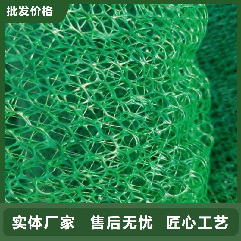 三维植被网植草护坡本地制造商