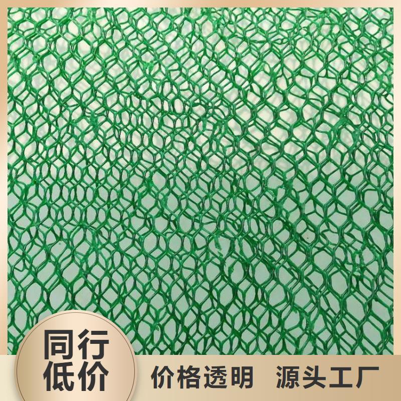 三维植被网厂家供应供应三维网厂家