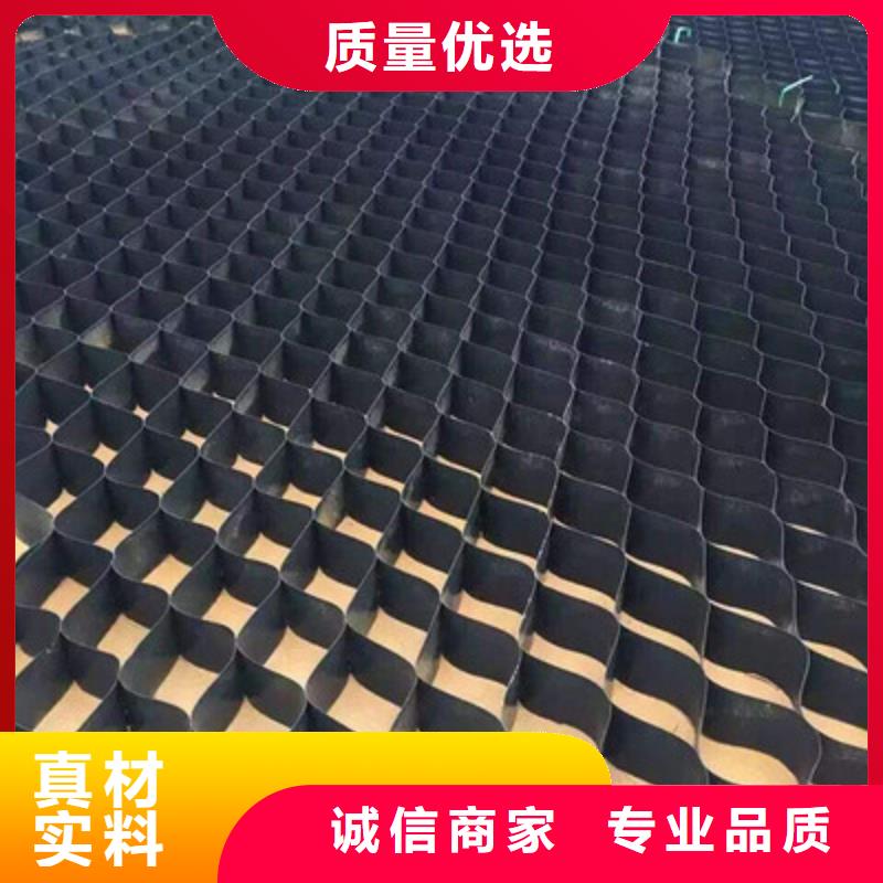 蜂窝土工格室hdpe土工格室厂家同城品牌