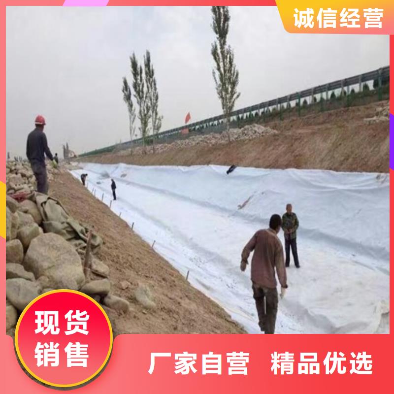 聚酯土工布厂家哪个好本地货源