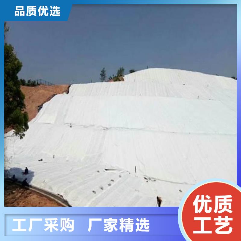 玻璃纤维复合土工布报价按需定制真材实料