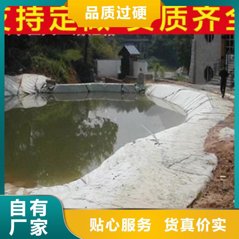 环保涤纶复合土工布厂家(绿色盖网土工布)产品实拍