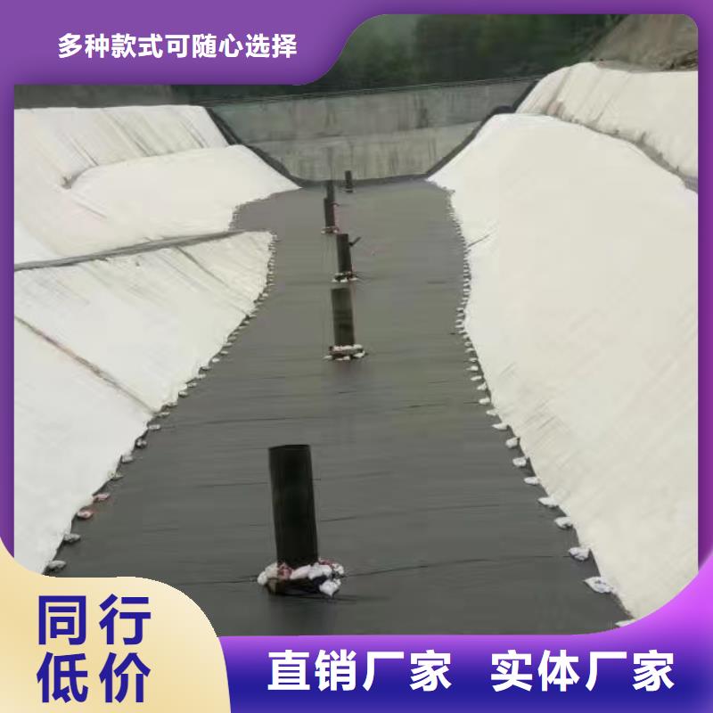 防渗土工膜——按需定制闪电发货