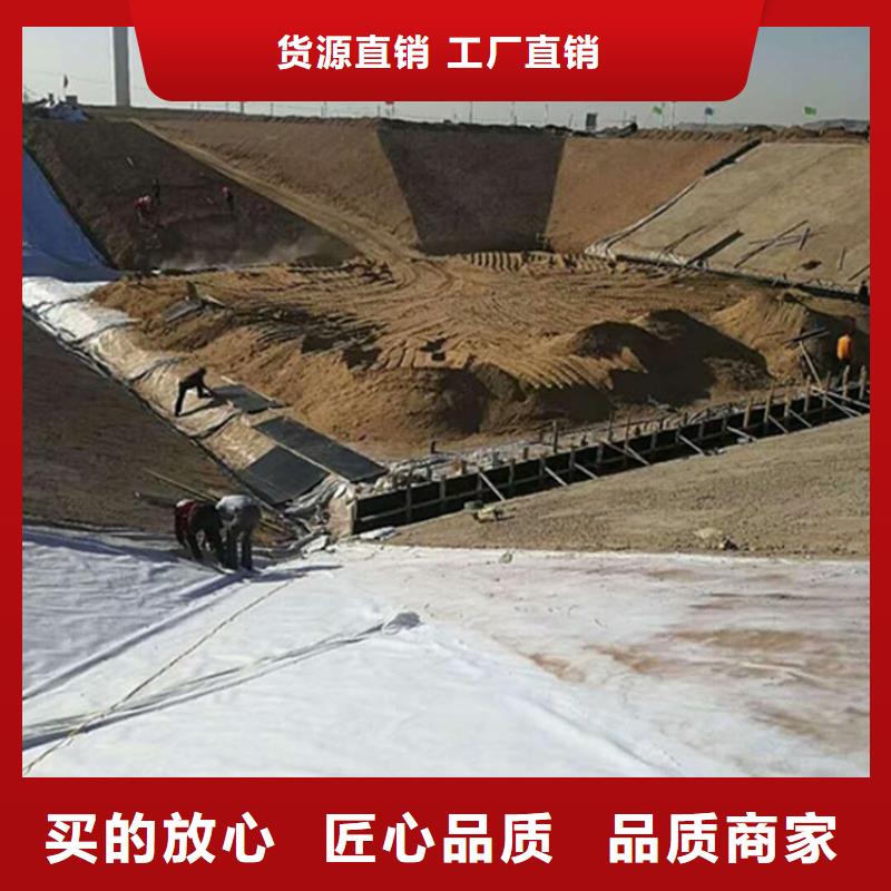 土工膜-实业集团畅销本地