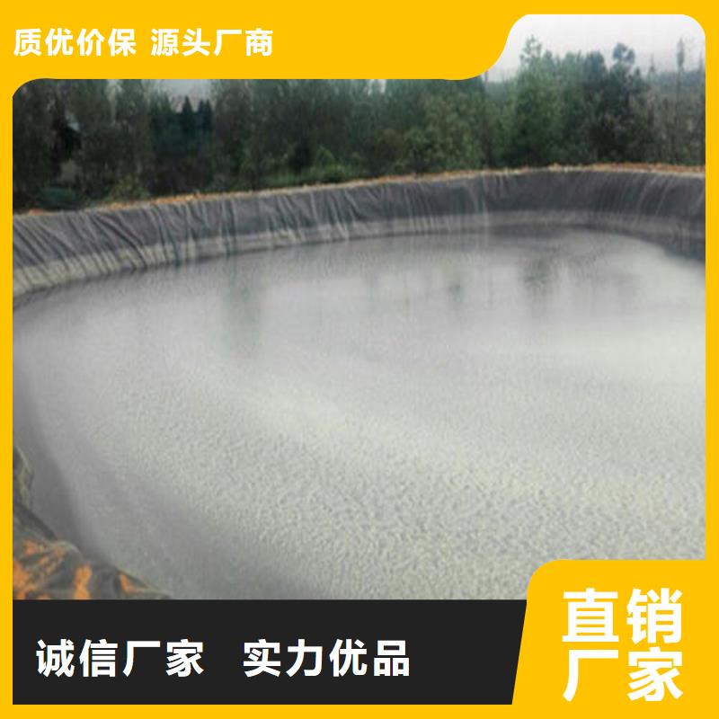 土工膜-实业集团量大更优惠