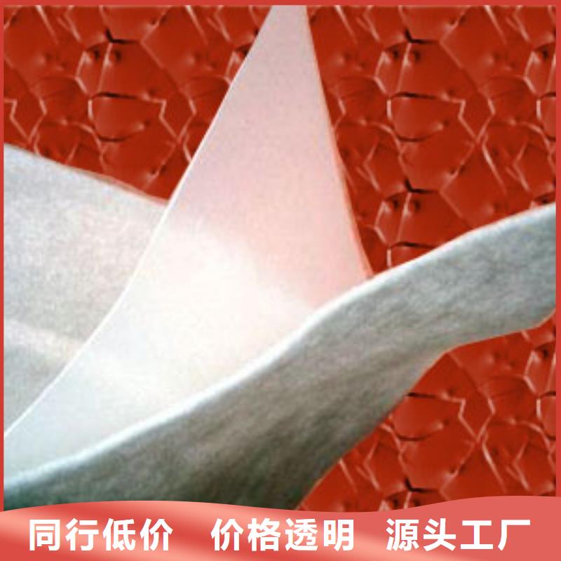防渗土工膜——按需定制质量安心