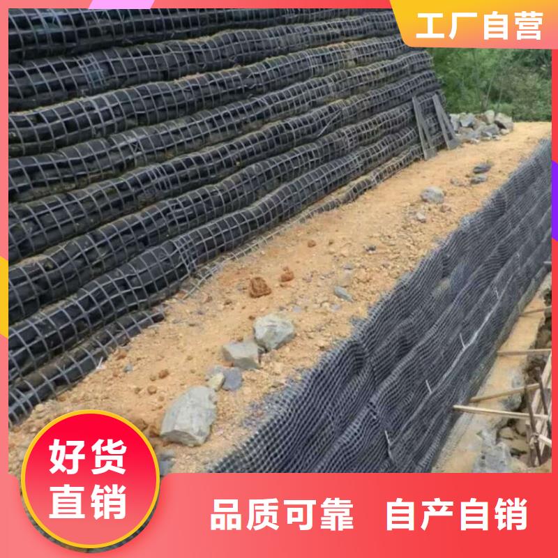 土工格栅道路修建-路基增强本地品牌