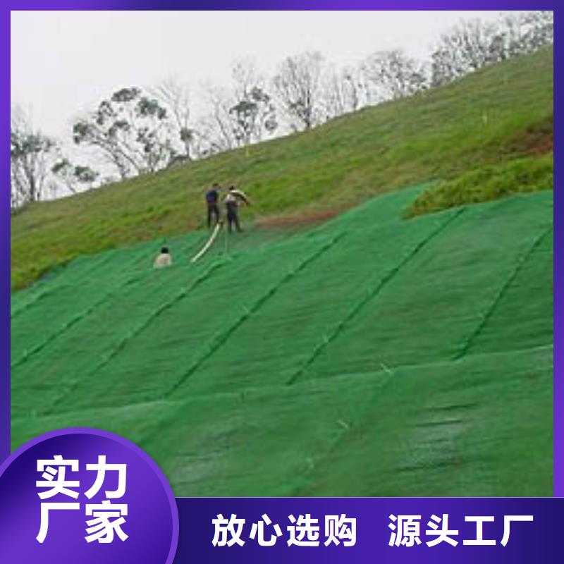 三维植被网护坡价格——批发厂家本地品牌