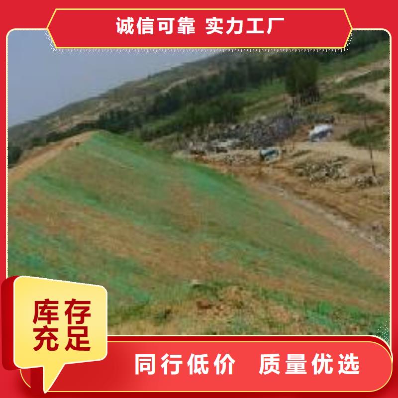 三维植被网护坡价格——批发厂家供您所需