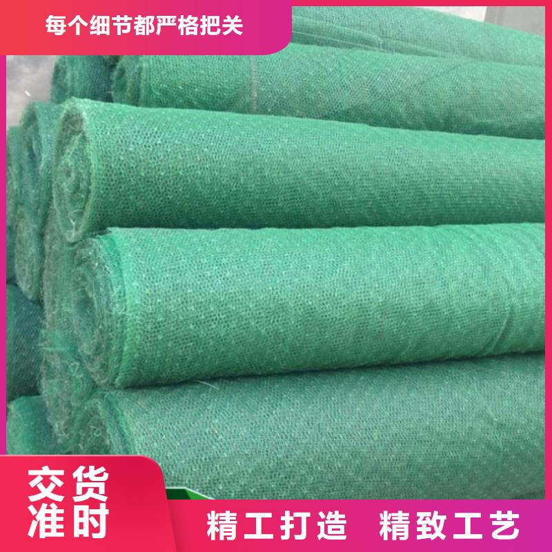 新型三维土工网垫规格性能参数专业厂家