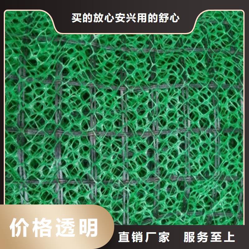 新型三维土工网垫规格性能参数厂家现货批发