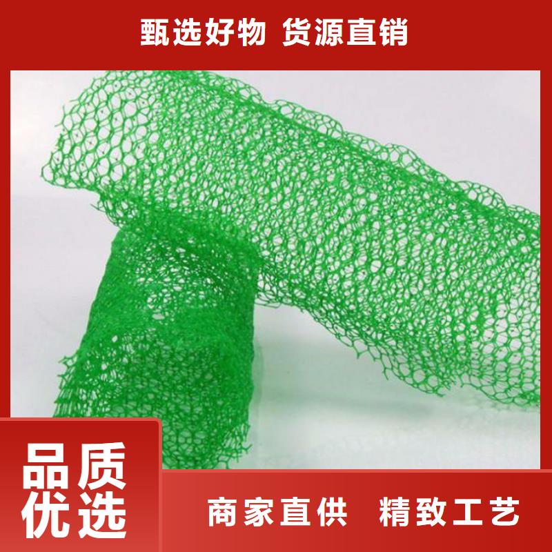 三维土工网垫价格信息-三维土工网垫生产厂家当地服务商