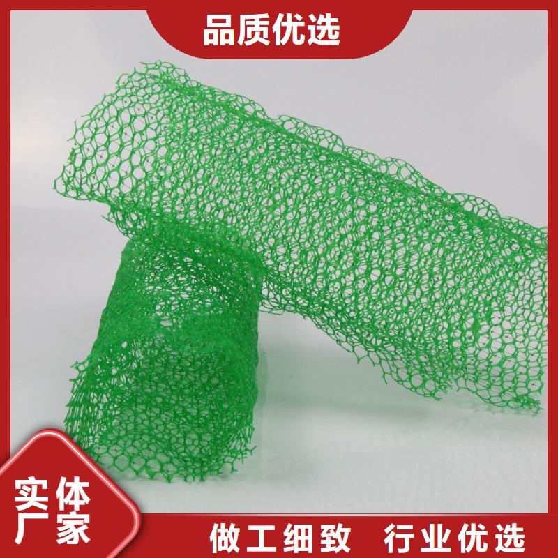 三维土工网垫价格信息-三维土工网垫生产厂家商家直供