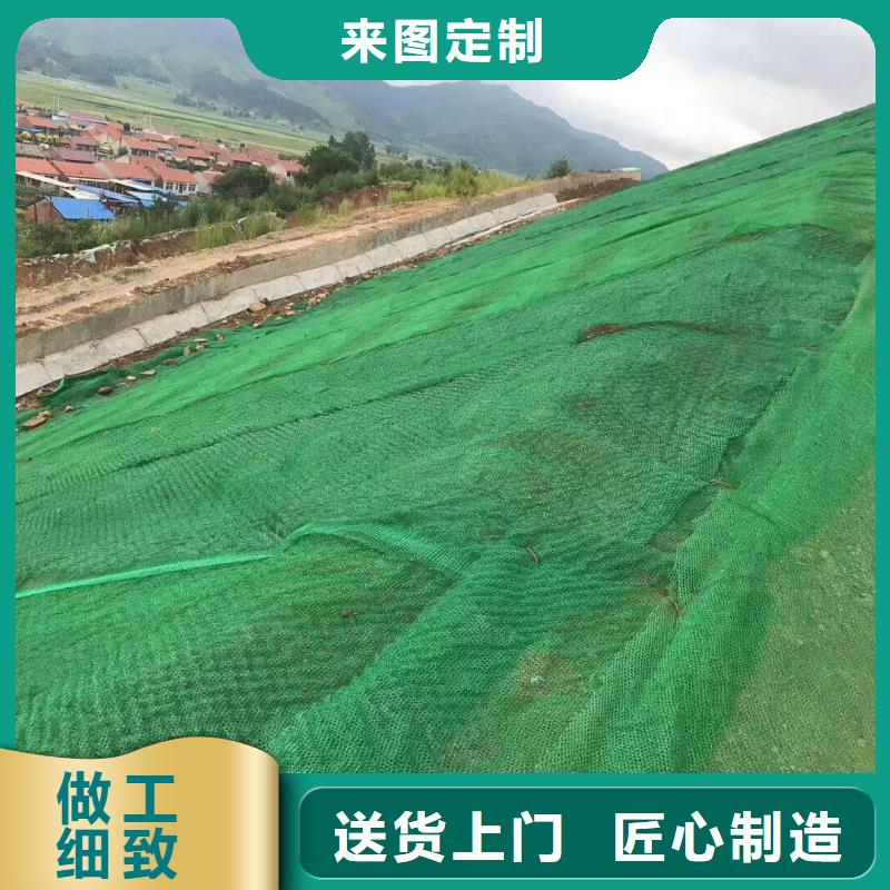 新型三维土工网垫规格性能参数经验丰富品质可靠