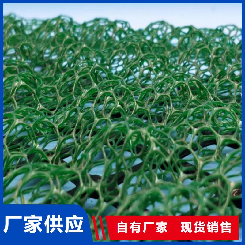 三维植被网2025发售价多少EM4三维土工植被网批发价格三维土工网垫——三维植被网2025年价格表厂家精选