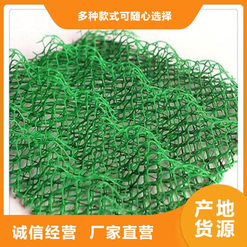 三维植被网护坡价格——批发厂家细节严格凸显品质