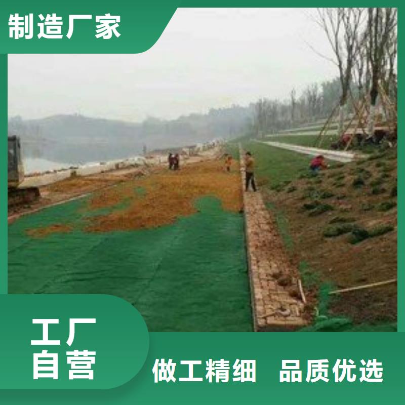 三维土工网垫_三维植被网2025年价格表当地供应商