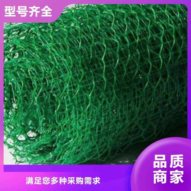三维土工网垫_三维植被网2025年价格表一站式供应