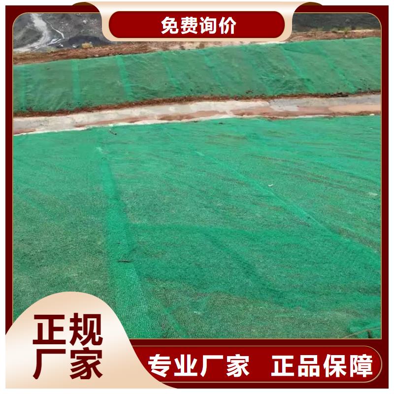 临高县三维植被网_高性价比三维植被网_选择亿路通新材料经久耐用