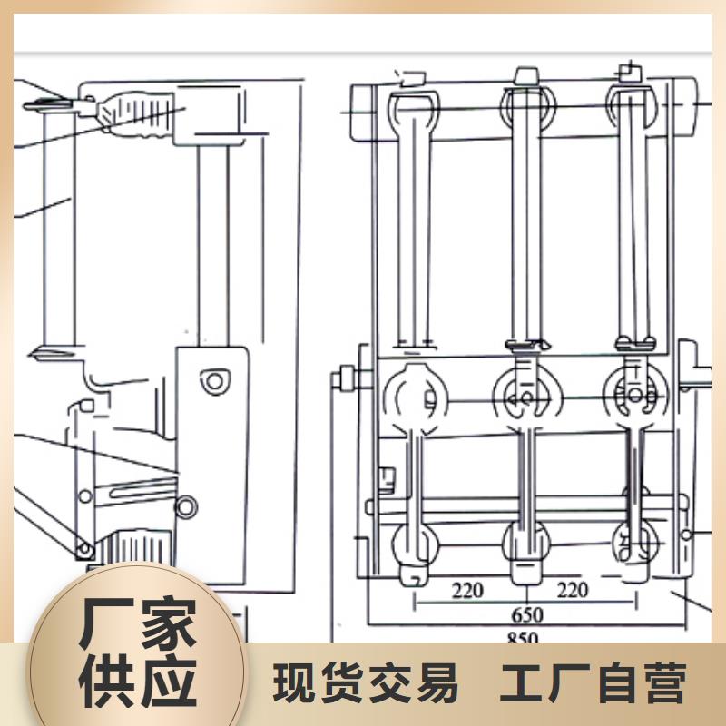 FZN25-12D/630-20高压负荷开关为您精心挑选