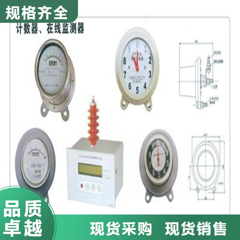 JCQ-10/1000在线监测仪您身边的厂家