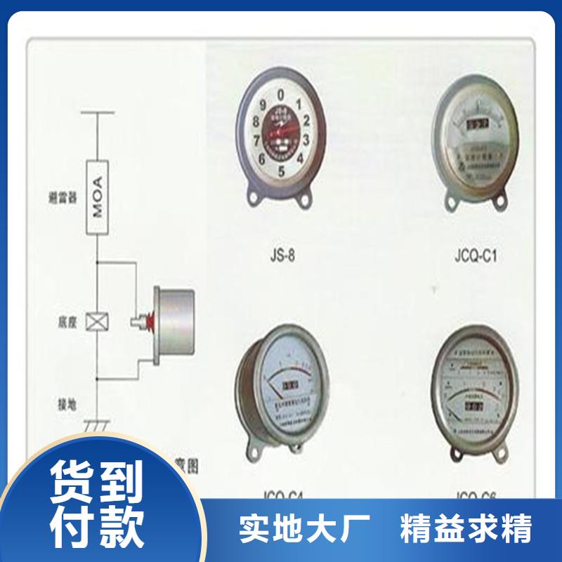 JSYF9避雷器计数器特征诚信经营