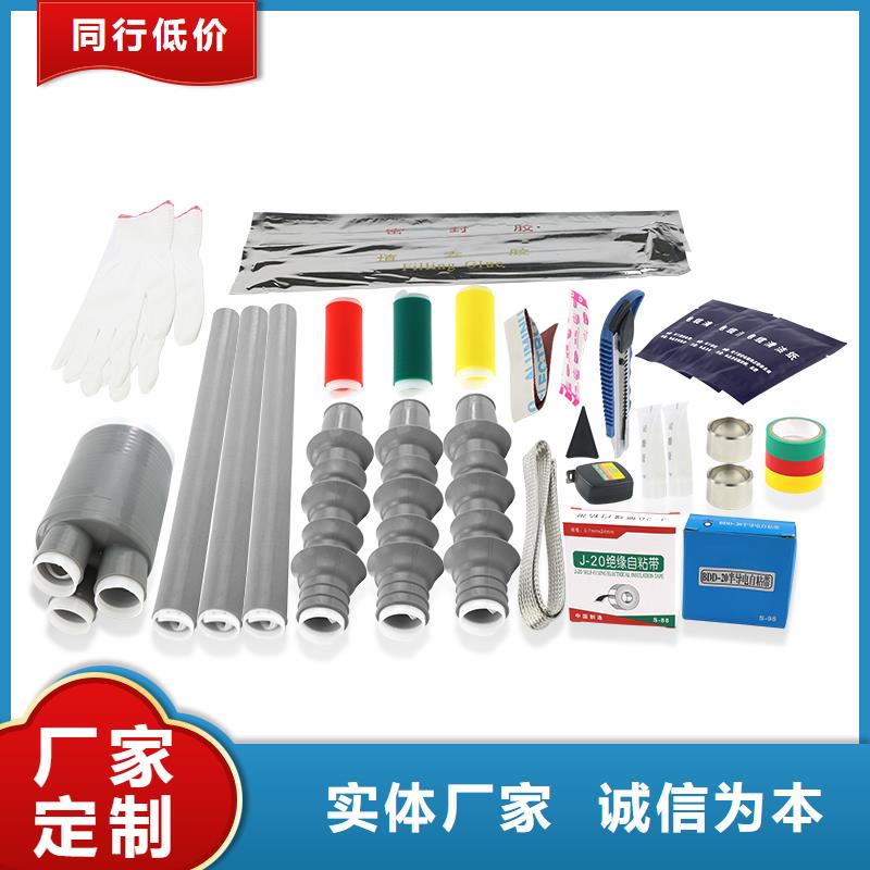 DXN-6T高压带电显示器厂家经验丰富