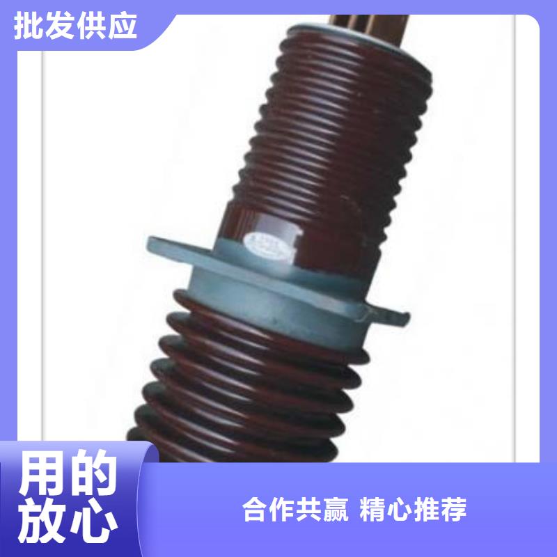 FCWW-12/400A复合套管经销商