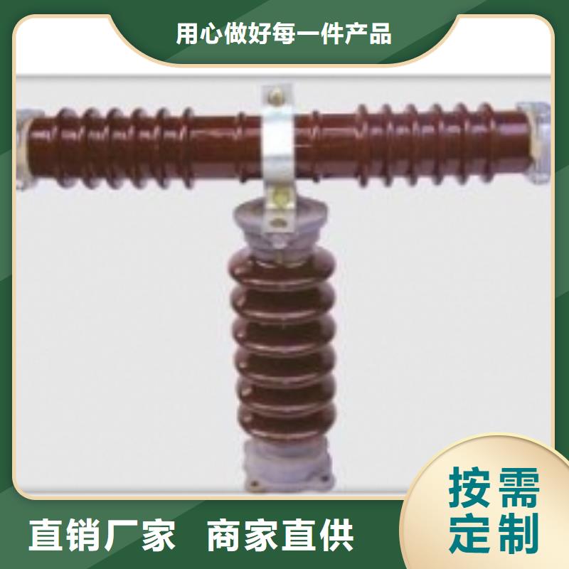 RW12-33/100A跌落开关樊高本地供应商