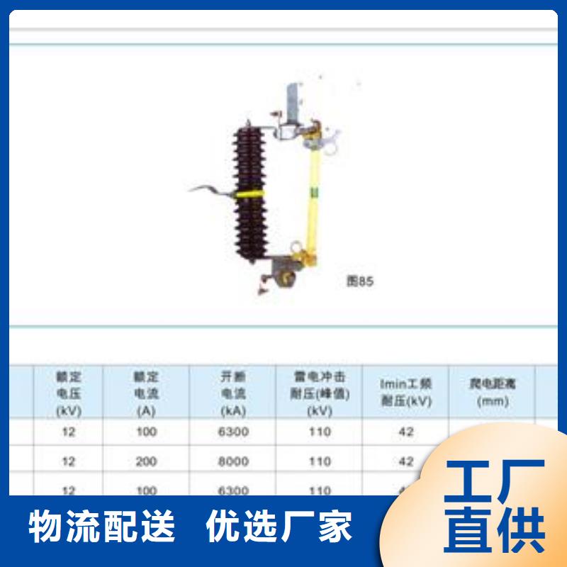 RW10-10/100A跌落开关樊高厂家拥有先进的设备