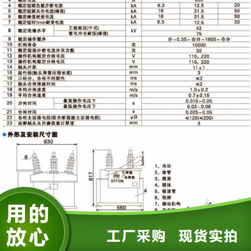 VS1-12/1250-25户内真空断路器手车式选择大厂家省事省心