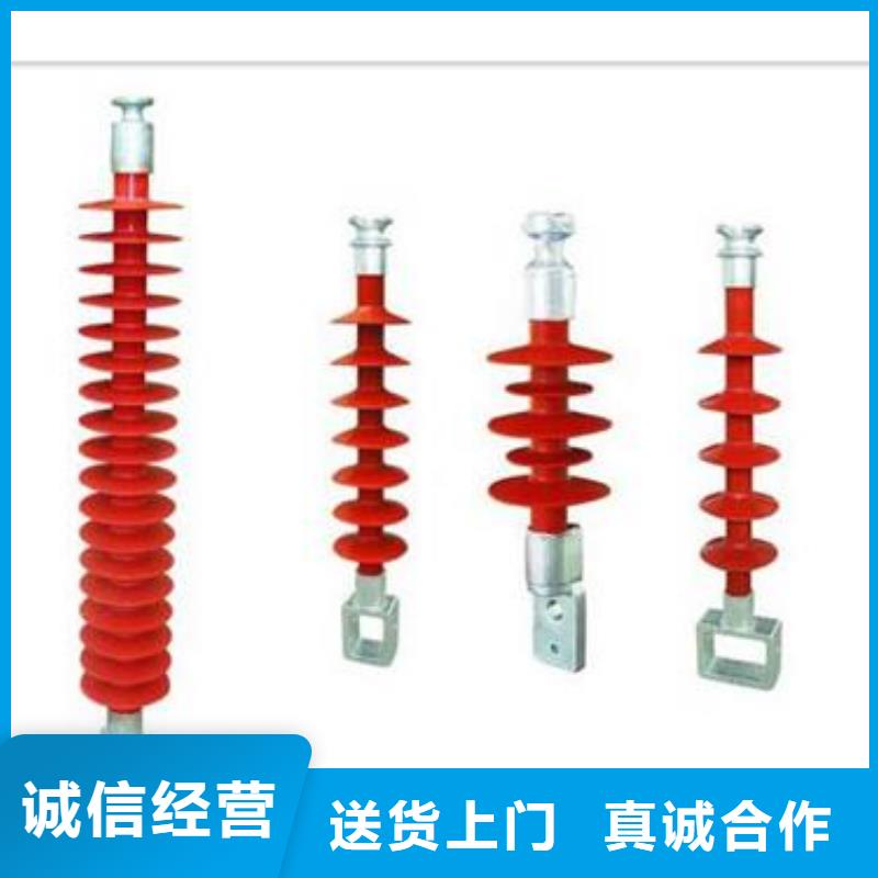ZJ3-10Q/100*140环氧树脂绝缘子当地厂家