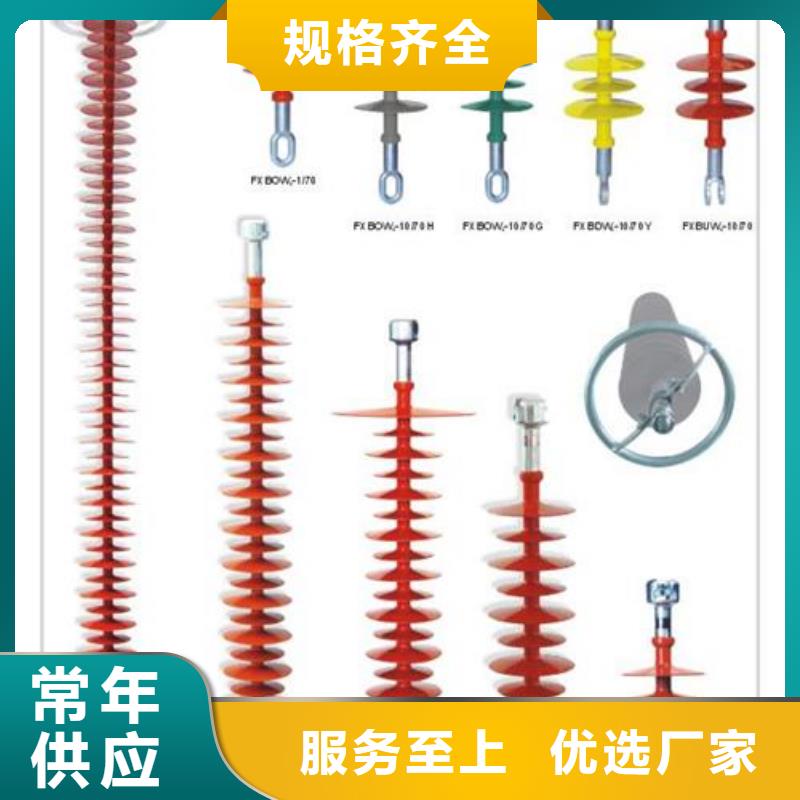 FZSW3-24/8L高压复合绝缘子当地货源