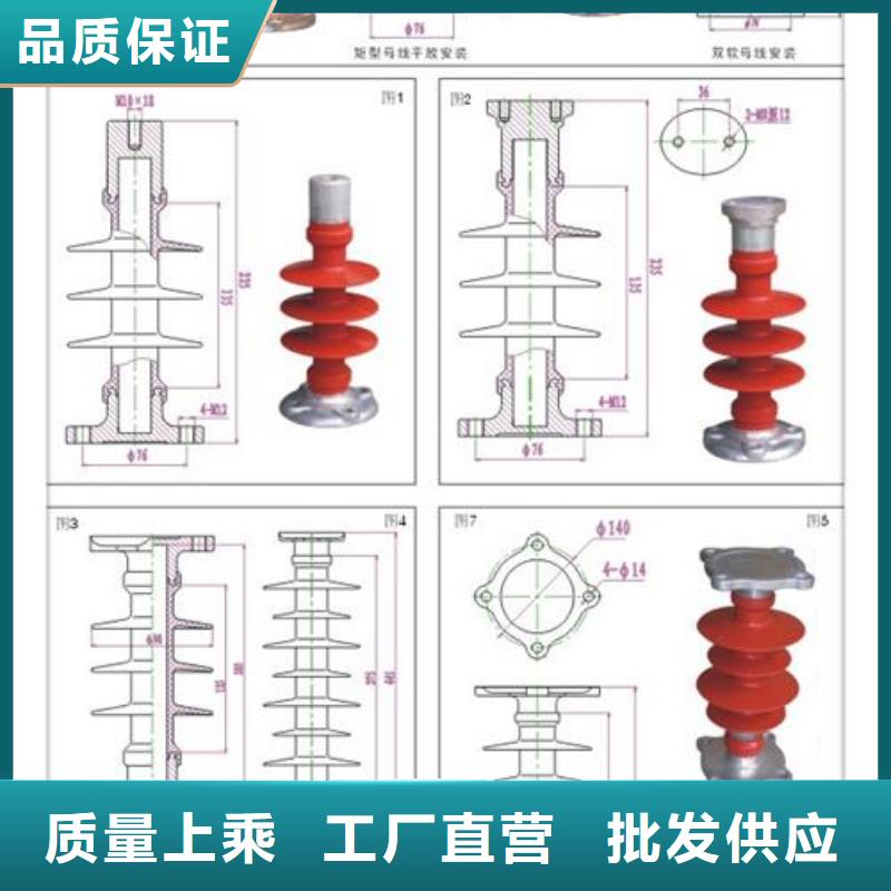 FZSW3-126/16高压复合绝缘子24小时下单发货