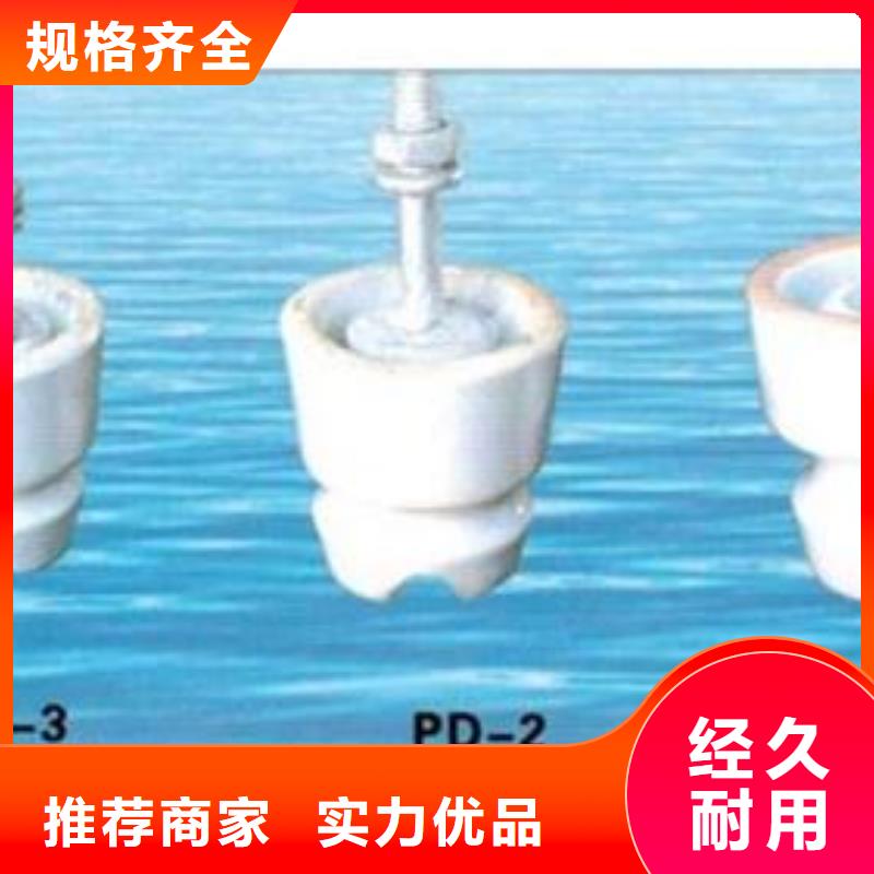 XP-100高压绝缘子樊高电气同城制造商