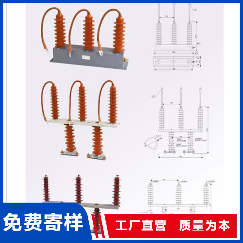 TBP-O-7.6中性点组合式避雷器N年大品牌