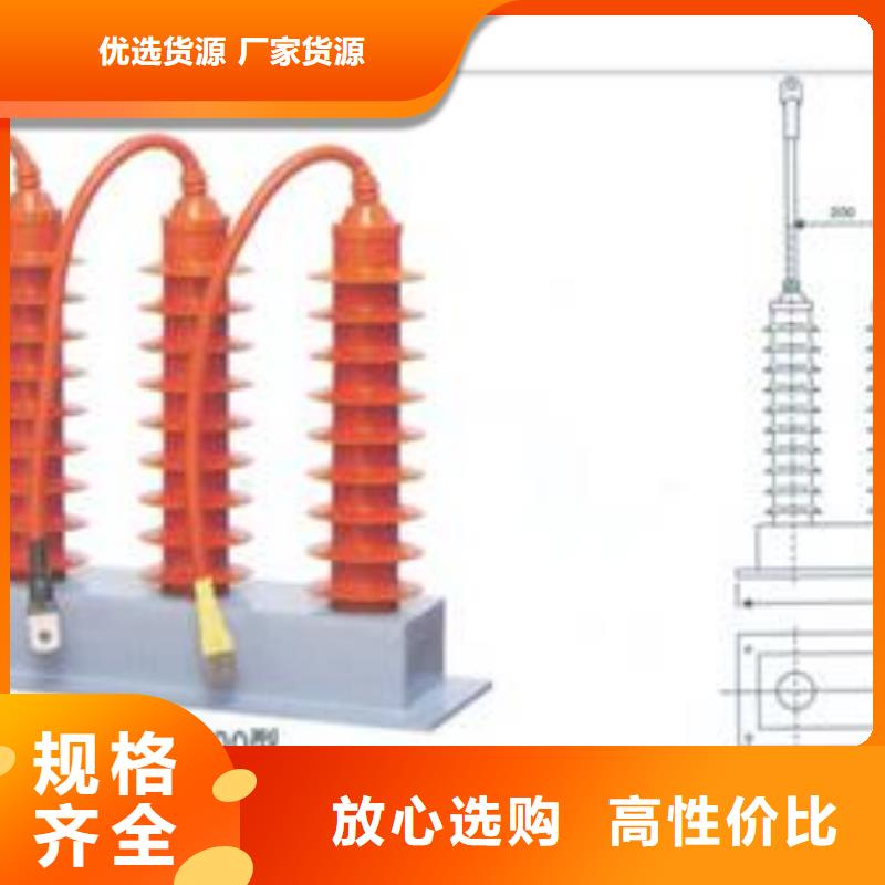 BSTG-C-12.7组合式避雷器樊高电气好品质经得住考验