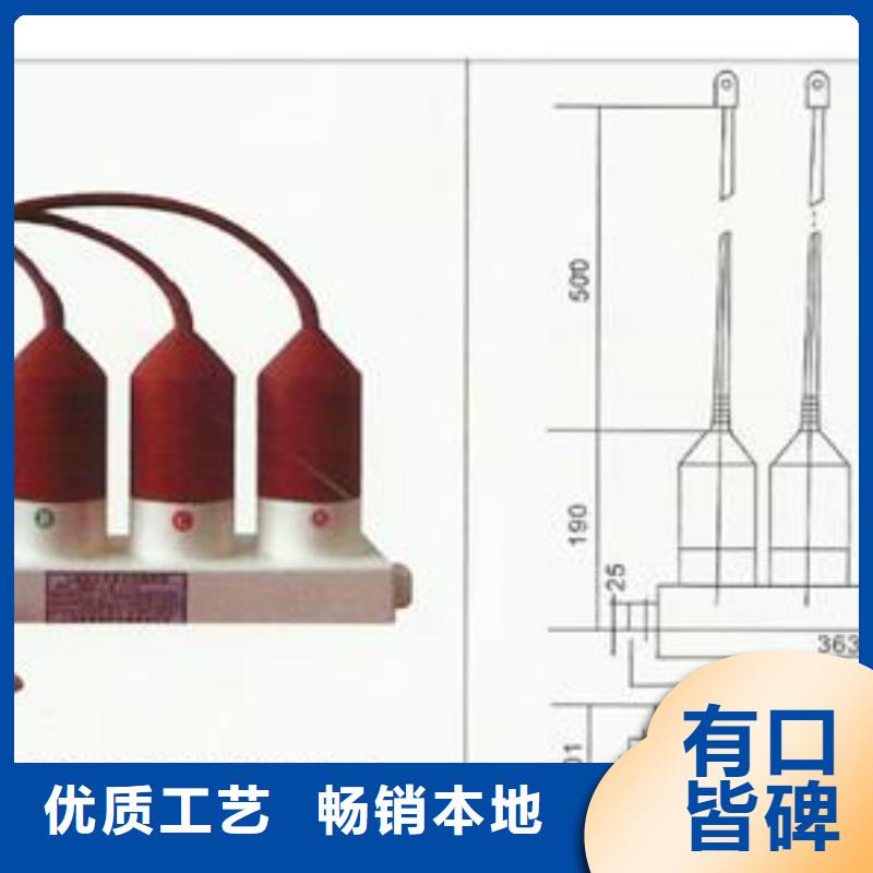 TBP-B-7.6F/131组合式保护器货源报价