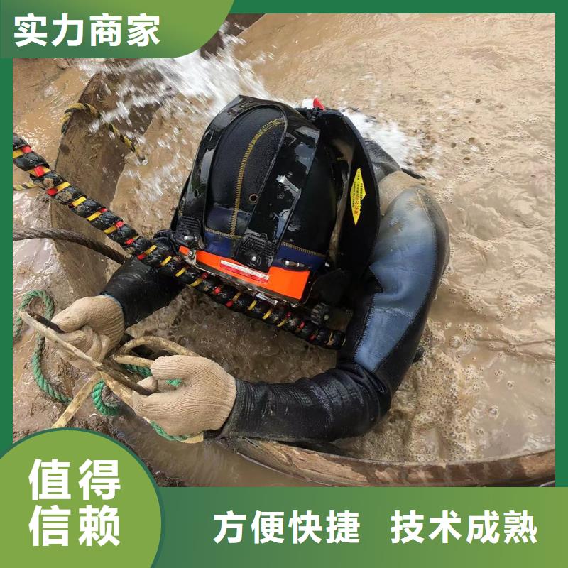 定制水下检测的经销商正规团队