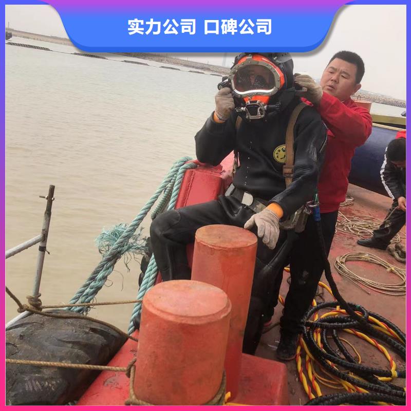 水下拍摄批发选购专业可靠