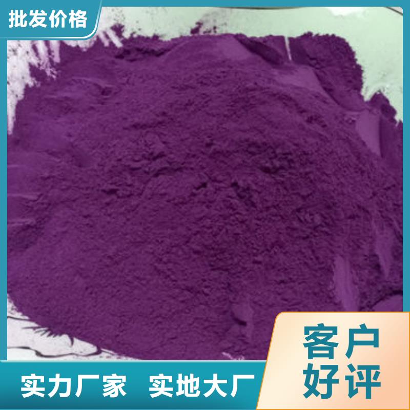 紫薯苗（济黑2号）销售海量现货直销