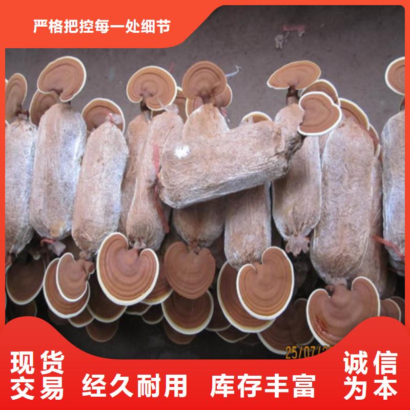 
灵芝孢子粉_厂家批发_产地货源当地供应商