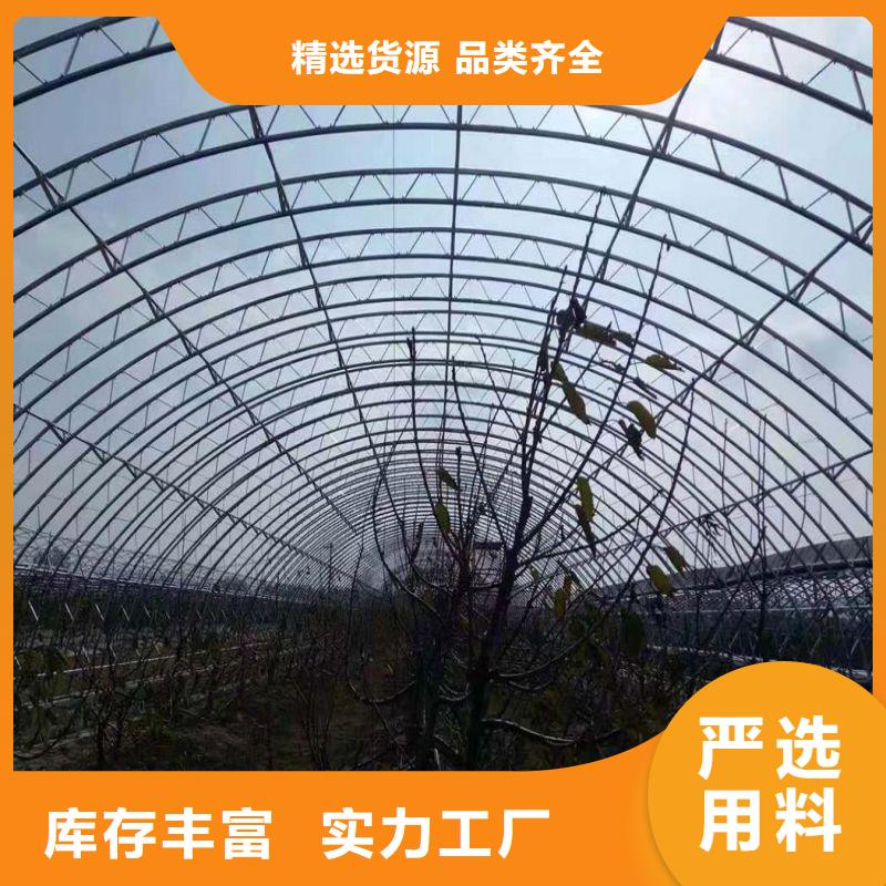 云城区种植大棚购买行业优选