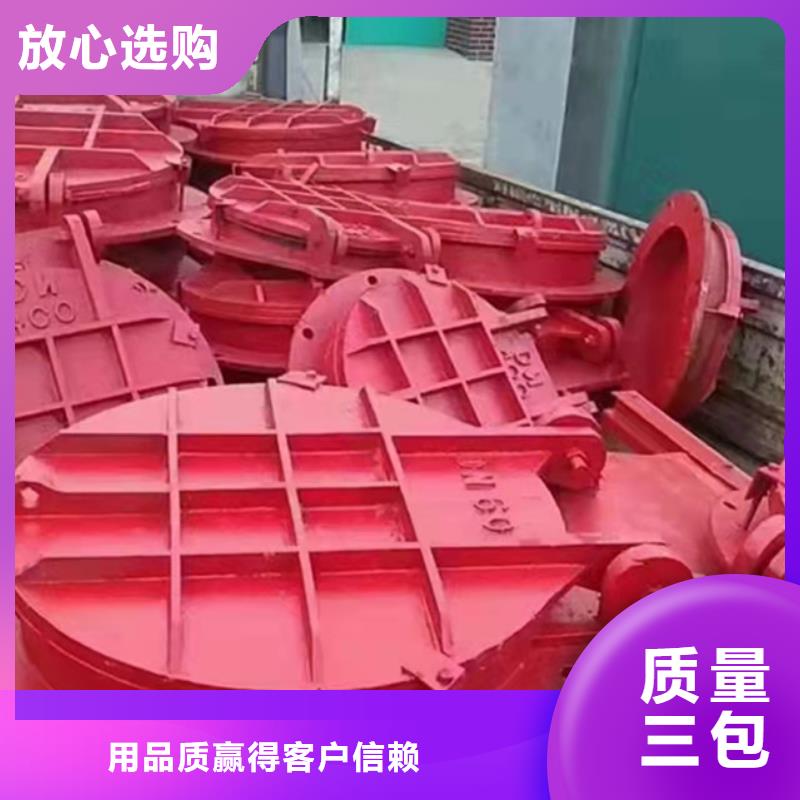 手提铸铁闸门欢迎电询当地服务商