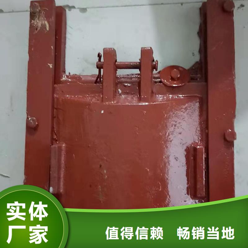 实力雄厚的水库铸铁闸门供应商当地生产商